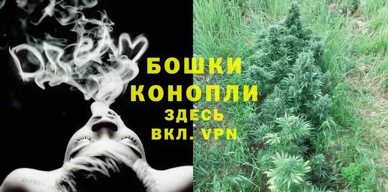 МАРИХУАНА SATIVA & INDICA  Находка 